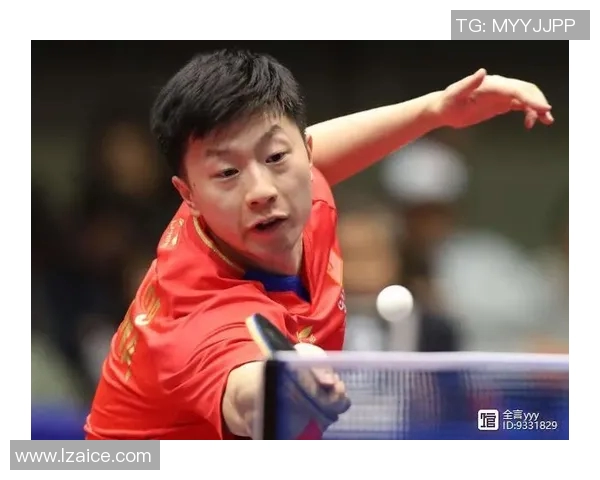 网球大满贯焦点战分析